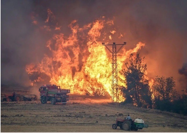 Sakarya'da başlayıp Bilecik'e sıçrayan orman yangını üçüncü gününde
