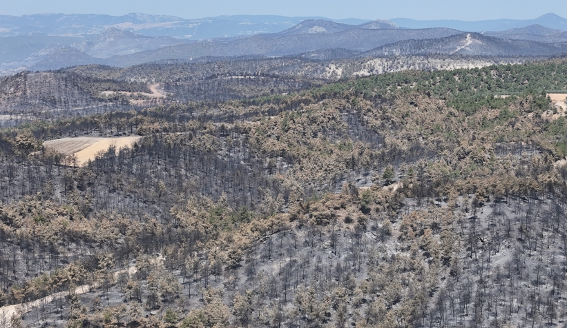 Sakarya'da başlayıp Bilecik'e sıçrayan yangın 5. günde kontrol altına alındı