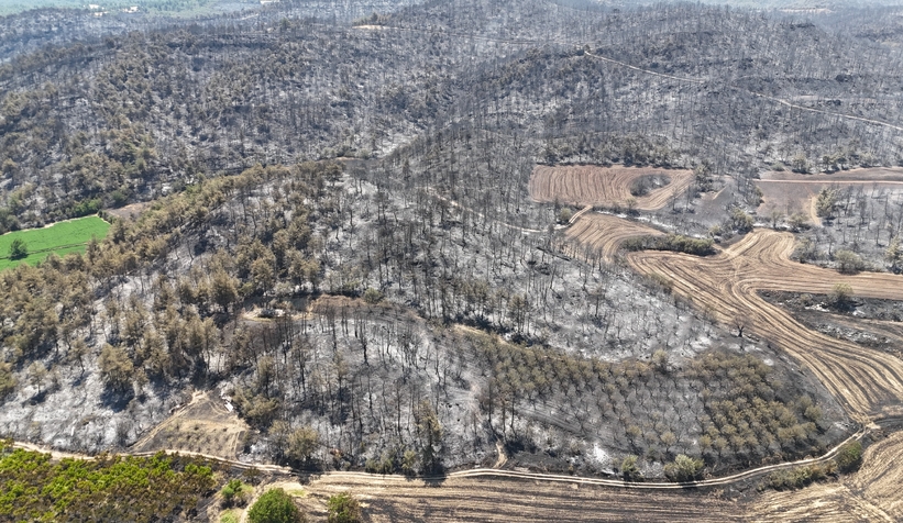 Sakarya'da başlayıp Bilecik'e sıçrayan yangın 5. günde kontrol altına alındı