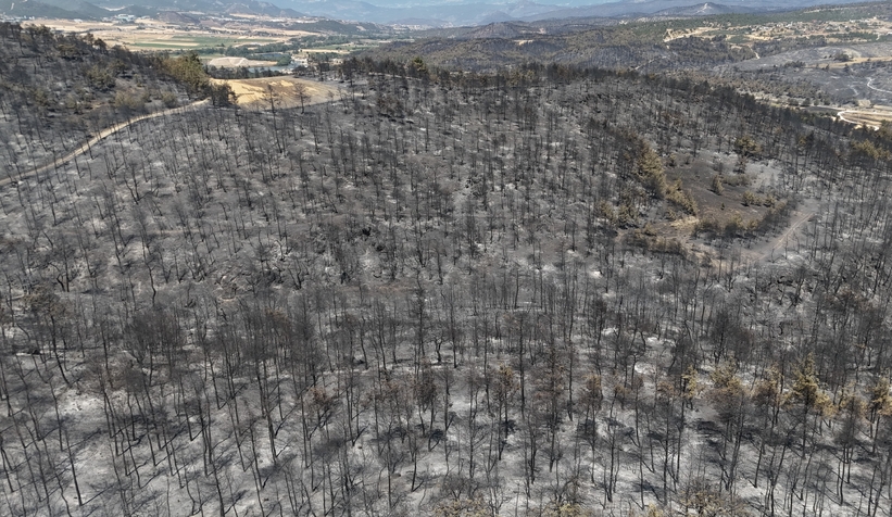 Sakarya'da başlayıp Bilecik'e sıçrayan yangın 5. günde kontrol altına alındı