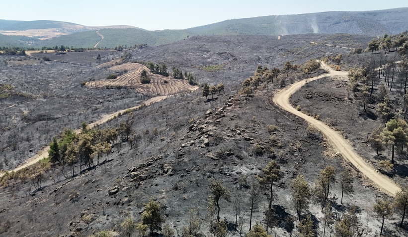 Sakarya'da başlayıp Bilecik'e sıçrayan yangın 5. günde kontrol altına alındı