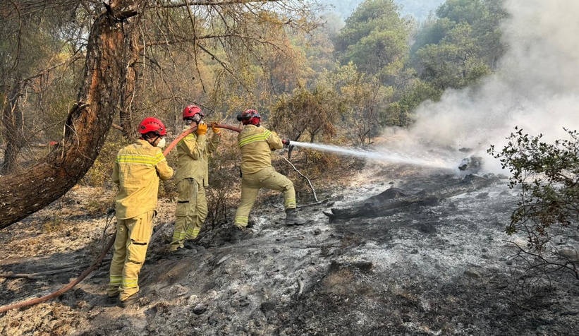 Sakarya'da başlayıp Bilecik'e sıçrayan yangın felaketinde son durum