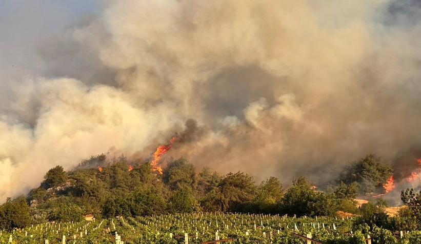 Sakarya'da başlayıp Bilecik'e sıçrayan yangın felaketinde son durum