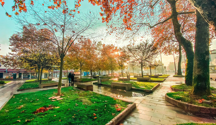 sakarya-da-bu-sehir-hepimizin-hareketit1nvqudumd