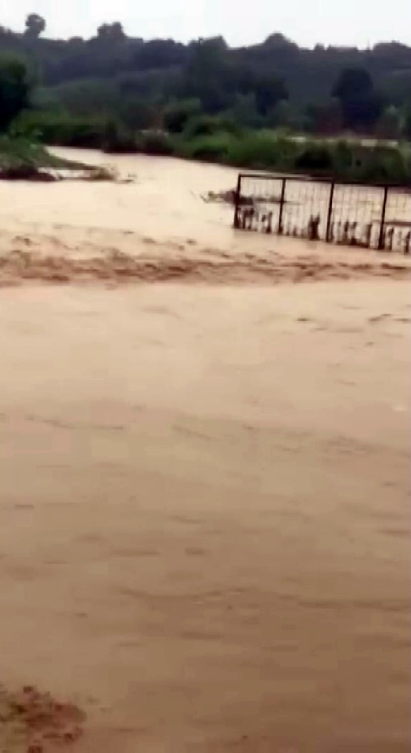 sakarya-da-dereler-tastisza2mufnzd