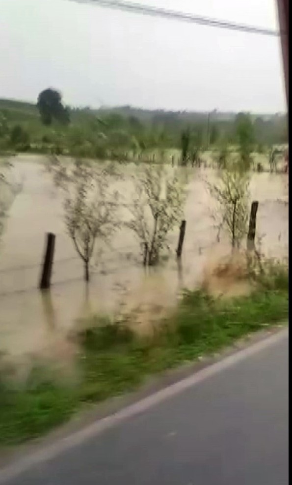 sakarya-da-dereler-tastisza2mufnzd