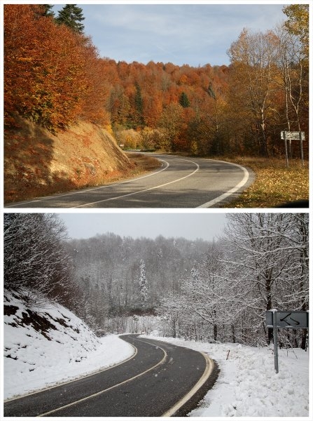 Sakarya'da doğa şölen sunuyor: Sonbahar ve kış bir arada