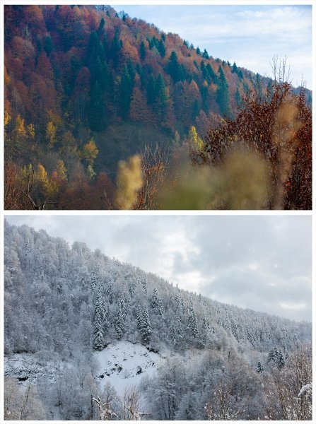 Sakarya'da doğa şölen sunuyor: Sonbahar ve kış bir arada
