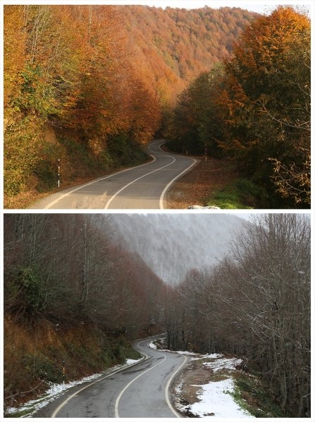 Sakarya'da doğa şölen sunuyor: Sonbahar ve kış bir arada