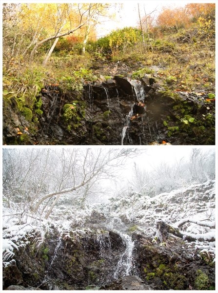 Sakarya'da doğa şölen sunuyor: Sonbahar ve kış bir arada