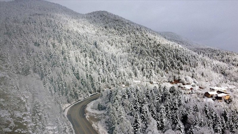 Sakarya'da doğa şölen sunuyor: Sonbahar ve kış bir arada