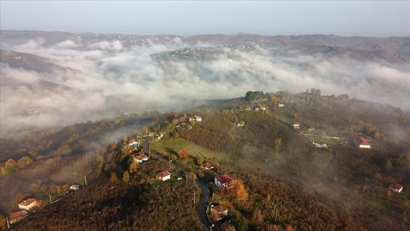 Sakarya'da doğa şölen sunuyor: Sonbahar ve kış bir arada