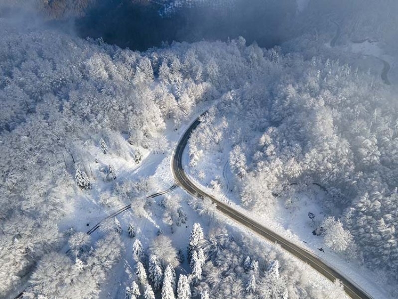 Sakarya'da doğa şölen sunuyor: Sonbahar ve kış bir arada
