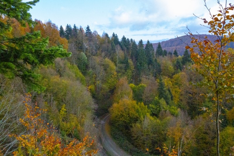 Sakarya'da doğa şölen sunuyor: Sonbahar ve kış bir arada