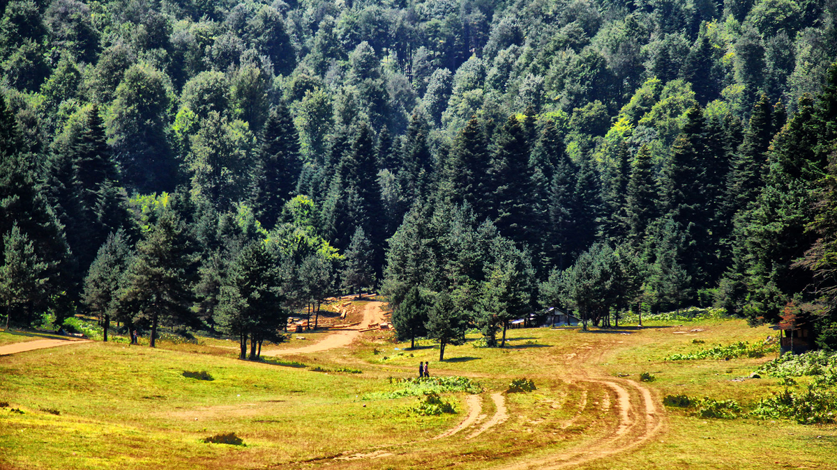 Sakarya'da doğa yürüyüşleri başlıyor