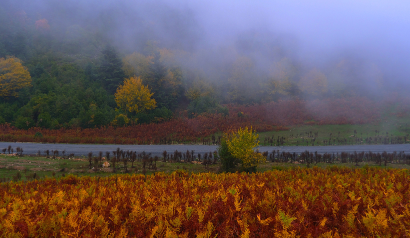 sakarya-da-doga-yuruyusleri-tamamlandid1aytkovyv