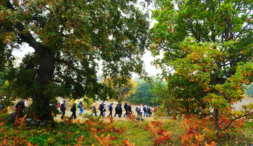 sakarya-da-doga-yuruyusleri-tamamlandid1aytkovyv