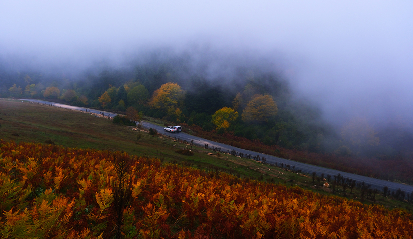 sakarya-da-doga-yuruyusleri-tamamlandid1aytkovyv