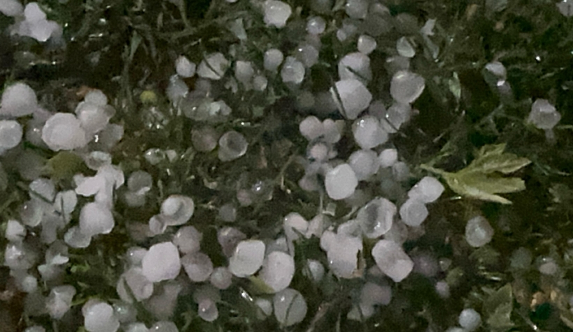 sakarya-da-dolu-yagisiadjeenzusg