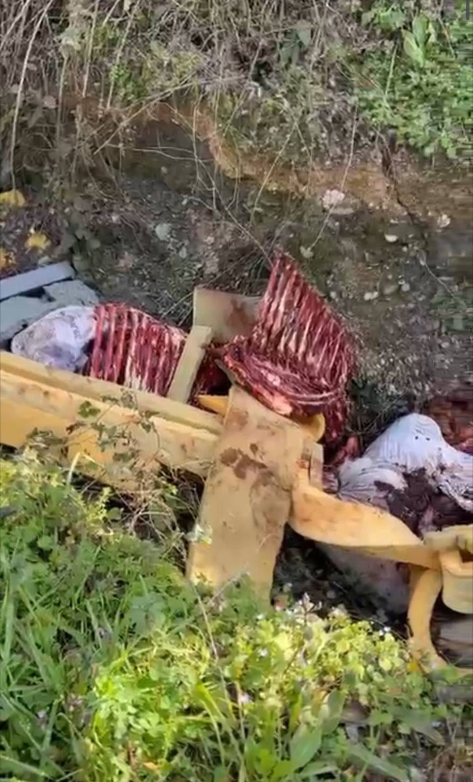 Sakarya'da et kesenler yakalanırken etlerin akıbeti merak uyandırdı