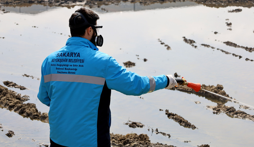 Sakarya'da haşereyle mücadele başladı