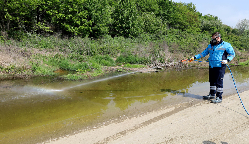 Sakarya'da haşereyle mücadele başladı