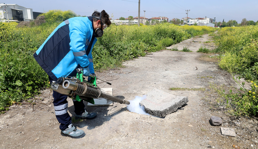 Sakarya'da haşereyle mücadele başladı