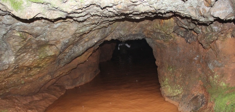 sakarya-da-iki-magara-koruma-altina-alindiqnfarxpkcn