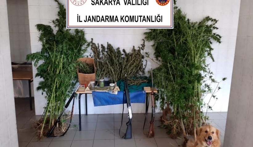 Sakarya'da jandarma narkotik ve kaçakçılık bilançosunu açıkladı