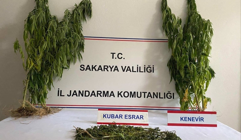 Sakarya'da jandarmadan 3 ayrı uyuşturucu operasyonu