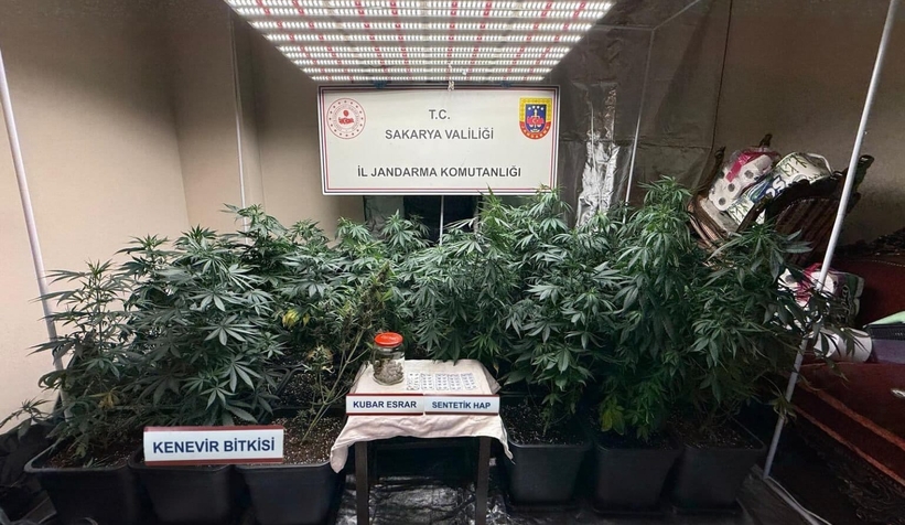 Sakarya'da jandarmadan 3 ayrı uyuşturucu operasyonu