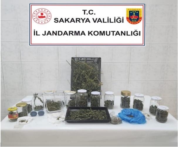 sakarya-da-jandarmadan-buyuk-uyusturucu-operasyonuysszsgvjuz