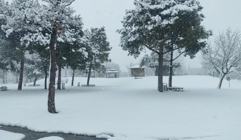 Sakarya'da kar etkili oluyor