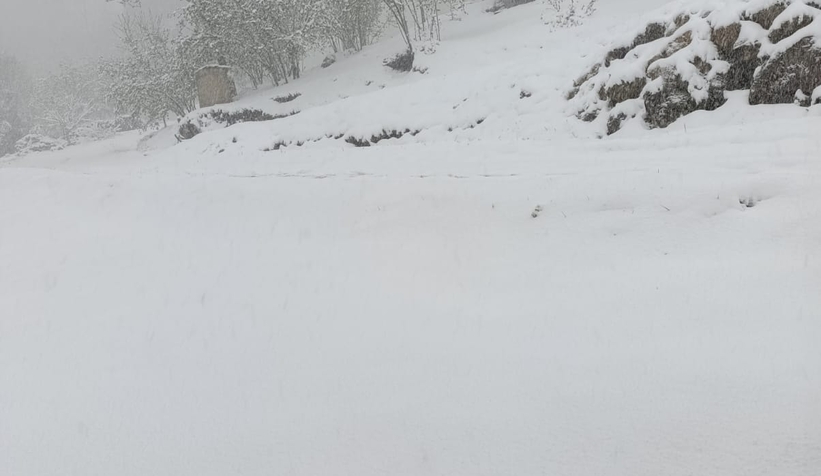 Sakarya'da kar kalınlığı 20 santimetreye ulaştı