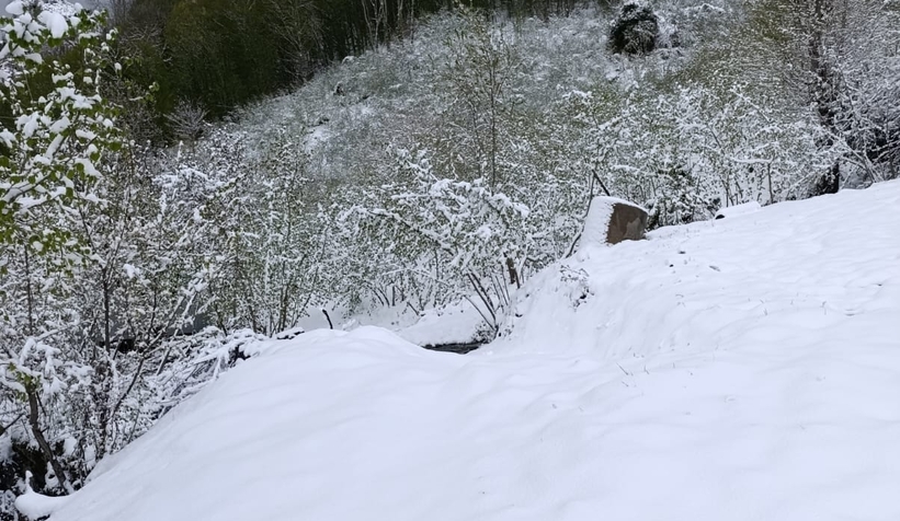 Sakarya'da kar kalınlığı 20 santimetreye ulaştı