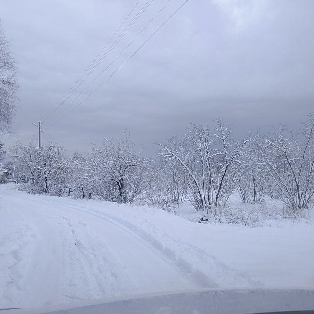 Sakarya'da kar yağışı