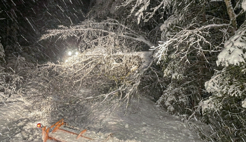 sakarya-da-kardan-kapanan-31-yol-acildia010btjpl2