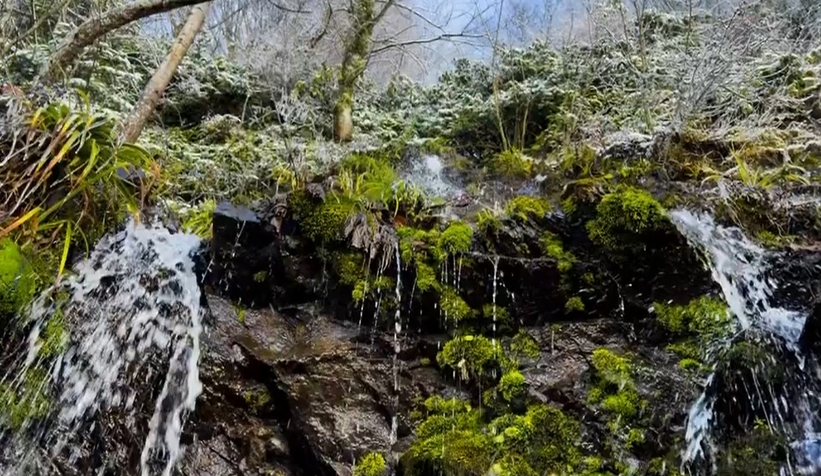 Sakarya'da karla gelen güzellik