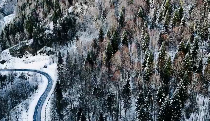 Sakarya'da karla gelen güzellik