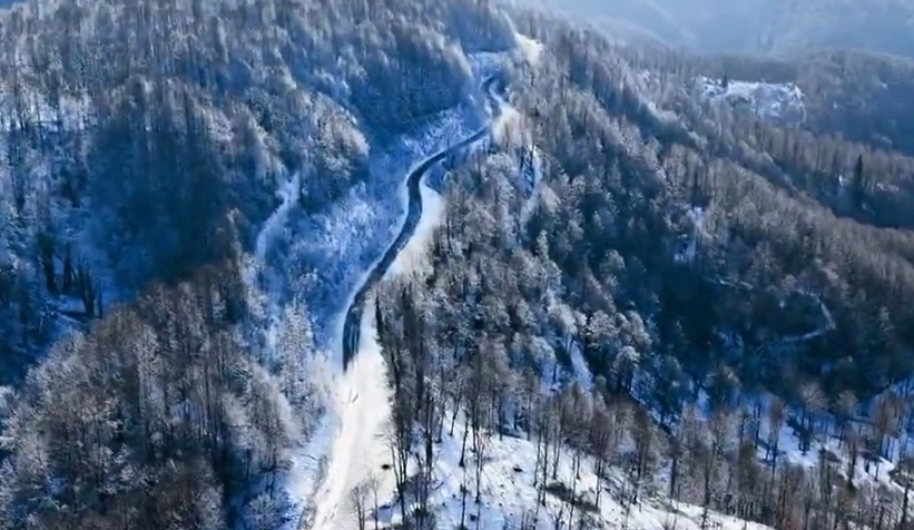 Sakarya'da karla gelen güzellik