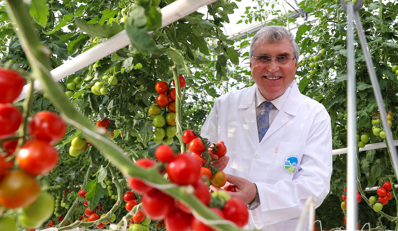 Sakarya'da memlekete hizmetle geçen 4 buçuk yıl: Tarihi rekorlar kırdık