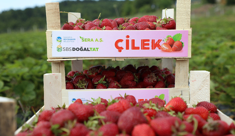 Sakarya'da memlekete hizmetle geçen 4 buçuk yıl: Tarihi rekorlar kırdık