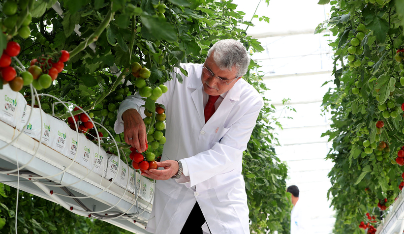 Sakarya'da memlekete hizmetle geçen 4 buçuk yıl: Tarihi rekorlar kırdık
