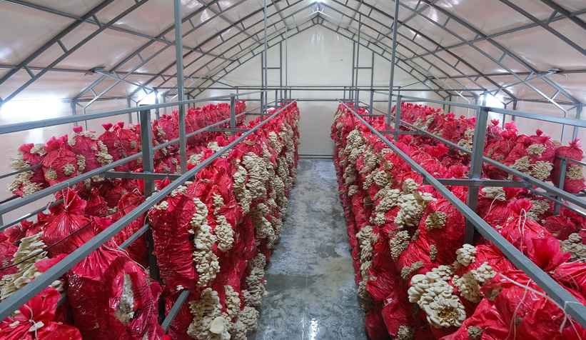 Sakarya'da memlekete hizmetle geçen 4 buçuk yıl: Tarihi rekorlar kırdık