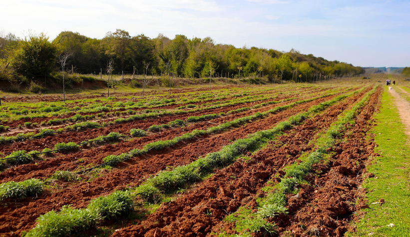 Sakarya'da memlekete hizmetle geçen 4 buçuk yıl: Tarihi rekorlar kırdık
