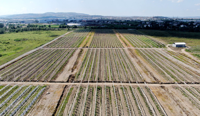 Sakarya'da memlekete hizmetle geçen 4 buçuk yıl: Tarihi rekorlar kırdık