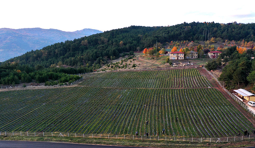 Sakarya'da memlekete hizmetle geçen 4 buçuk yıl: Tarihi rekorlar kırdık