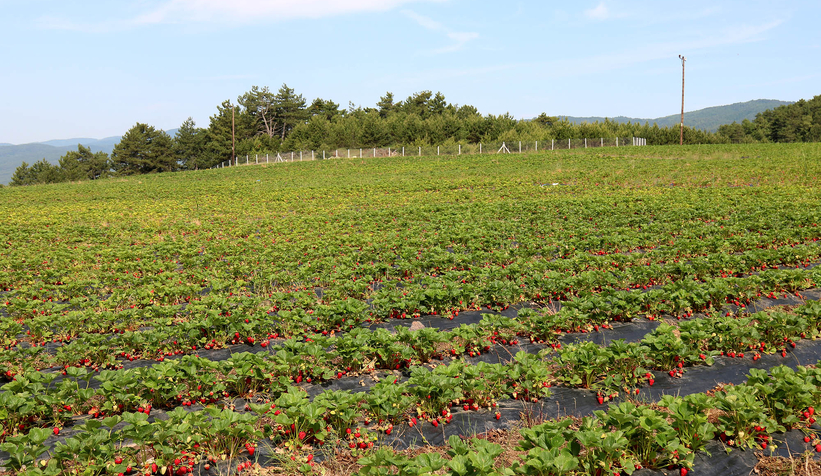 Sakarya'da memlekete hizmetle geçen 4 buçuk yıl: Tarihi rekorlar kırdık