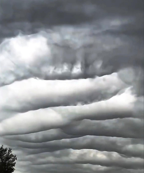 sakarya-da-nadir-gorulen-doga-olayinkk4bxnid1