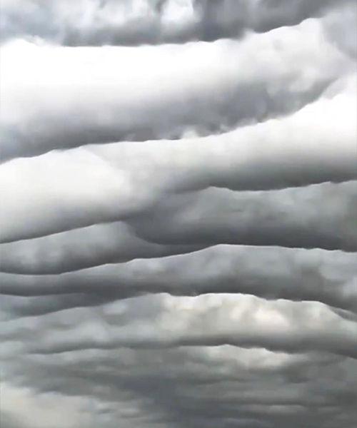 sakarya-da-nadir-gorulen-doga-olayinkk4bxnid1